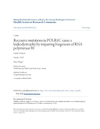 Recessive Mutations in POLR1C Cause a Leukodystrophy by Impairing Biogenesis of RNA Polymerase III Isabelle Thiffault