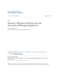 Reductive Alkylation of Proteins Towards Structural and Biological