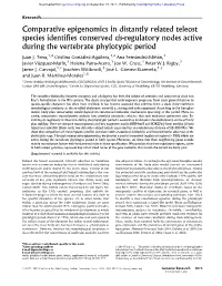 Comparative Epigenomics in Distantly Related Teleost Species Identifies Conserved Cis-Regulatory Nodes Active During the Vertebrate Phylotypic Period