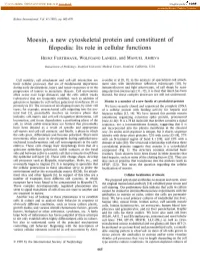 Moesin, a New Cytoskeletal Protein and Constituent of Filopodia: Its Role in Cellular Functions
