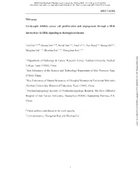 Title Page Cordycepin Inhibits Cancer Cell Proliferation and Angiogenesis Through a DEK Interaction Via ERK Signaling in Cholang