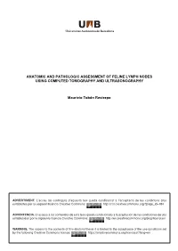 ANATOMIC and PATHOLOGIC ASSESSMENT of FELINE LYMPH NODES USING COMPUTED TOMOGRAPHY and ULTRASONOGRAPHY Mauricio Tobón Restrepo