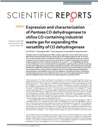 Expression and Characterization of Pantoea CO Dehydrogenase To