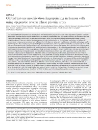 Global Histone Modification Fingerprinting in Human Cells Using
