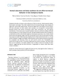 Ventral Coloration and Body Condition Do Not Affect Territorial Behavior in Two Sceloporus Lizards