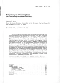 Early Lineages of Gonyleptidae (Arachnida Opiliones Laniatores)