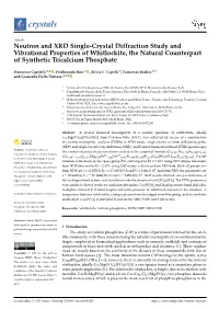Neutron and XRD Single-Crystal Diffraction Study and Vibrational Properties of Whitlockite, the Natural Counterpart of Synthetic Tricalcium Phosphate