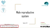 4- Male Reproductive System Final Editing.Pdf