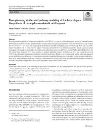Bioengineering Studies and Pathway Modeling of the Heterologous Biosynthesis of Tetrahydrocannabinolic Acid in Yeast