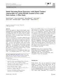 Initial Operating Room Experience with Digital Variance Angiography in Carbon Dioxide-Assisted Lower Limb Interventions: a Pilot Study