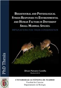 Phd Thesis Phd
