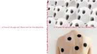 8.Triennale Klein Plastik Fellbach 200 1 V O R-Sicht R Ü Ck-Sicht