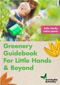 Greenery Guidebook for Little Hands & Beyond