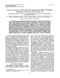 Nostoc Commune UTEX 584 Gene Expressing Indole Phosphate Hydrolase Activity in Escherichia Coli