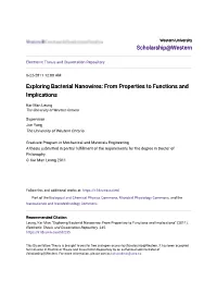 Exploring Bacterial Nanowires: from Properties to Functions and Implications