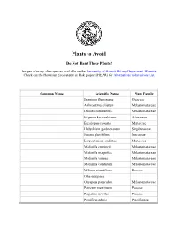 Plants to Avoid