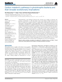 Carbon Metabolic Pathways in Phototrophic Bacteria and Their Broader Evolutionary Implications