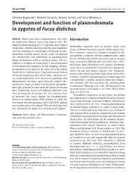 Development and Function of Plasmodesmata in Zygotes of Fucus Distichus