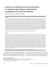 Evaluation of Seedling Tray Drench of Insecticides for Cabbage Maggot (Diptera: Anthomyiidae) Management in Broccoli and Cauliflower