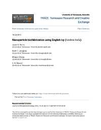 Nanoparticle Biofabrication Using English Ivy (Hedera Helix)