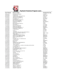 Paycheck Protection Program Loans