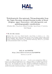 Sarcopterygii, Tetrapodomorpha