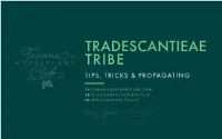 Tips, Tricks & Propagating
