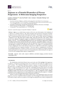 Arginase As a Potential Biomarker of Disease Progression: a Molecular Imaging Perspective