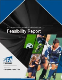 Feasibility Report