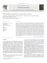 FGF8 Signaling Is Chemotactic for Cardiac Neural Crest Cells