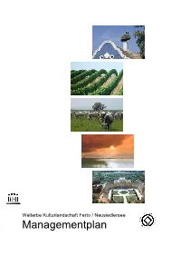 Managementplan 2003