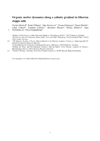 Organic Matter Dynamics Along a Salinity Gradient in Siberian Steppe Soils