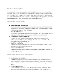 Why Form a Company?