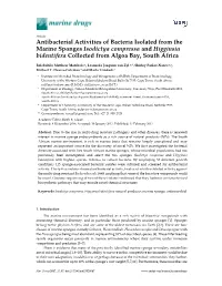 Antibacterial Activities of Bacteria Isolated from the Marine Sponges Isodictya Compressa and Higginsia Bidentifera Collected from Algoa Bay, South Africa
