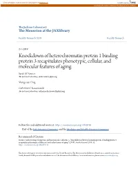 Knockdown of Heterochromatin Protein 1 Binding Protein 3 Recapitulates Phenotypic, Cellular, and Molecular Features of Aging