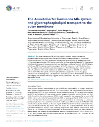 The Acinetobacter Baumannii Mla System and Glycerophospholipid