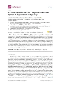 HPV Oncoproteins and the Ubiquitin Proteasome System: a Signature of Malignancy?