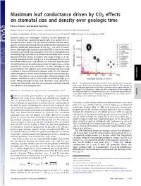 Maximum Leaf Conductance Driven by CO2 Effects on Stomatal Size and Density Over Geologic Time