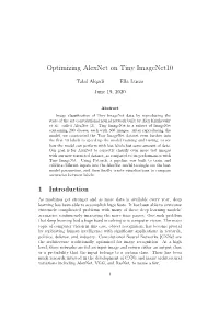 Optimizing Alexnet on Tiny Imagenet10