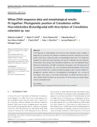 Phylogenetic Position of Crenubiotus Within Macrobiotoidea (Eutardigrada) with Description of Crenubiotus Ruhesteini Sp