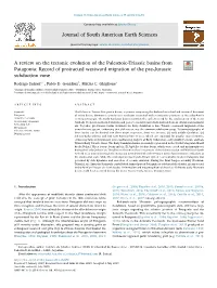 A Review on the Tectonic Evolution of the Paleozoic-Triassic Basins from Patagonia: Record of Protracted Westward Migration of the Pre-Jurassic T Subduction Zone