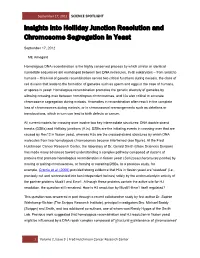 Insights Into Holliday Junction Resolution and Chromosome Segregation in Yeast