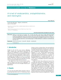A Triad of Endocarditis, Endophthalmitis, and Meningitis