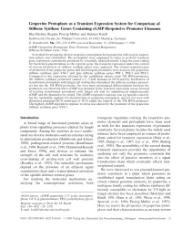 Grapevine Protoplasts As a Transient Expression System for Comparison
