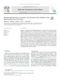 Plastome Phylogenomics, Systematics, and Divergence Time Estimation of the Beilschmiedia Group (Lauraceae) T ⁎ ⁎ Haiwen Lia,C, Bing Liua, Charles C