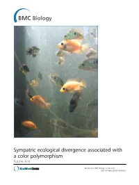 Sympatric Ecological Divergence Associated with a Color Polymorphism Kusche Et Al