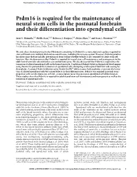 Prdm16 Is Required for the Maintenance of Neural Stem Cells in the Postnatal Forebrain and Their Differentiation Into Ependymal Cells