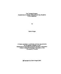 The Triangle Program: Experiences of Lesbian, Bisexual and Gay Students in the Classroom