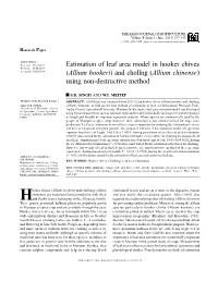 Allium Chinense) Using Non-Destructive Method