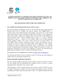 Icg Organizational Structure and Governance